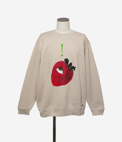 Sweat shirts 【late flash】