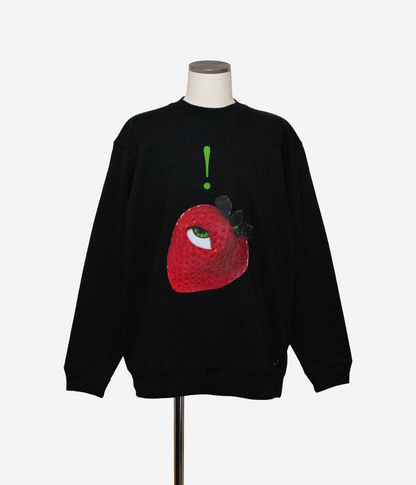 Sweat shirts 【late flash】