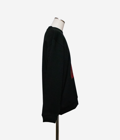 Sweat shirts 【late flash】